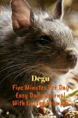 Book cover for Degu Five Minutes Per Day Easy Daily Journal With Guided Prompts