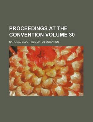 Book cover for Proceedings at the Convention Volume 30