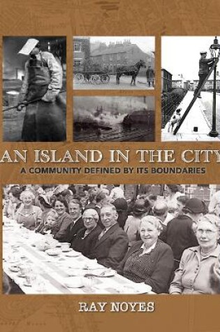 Cover of Island in the City