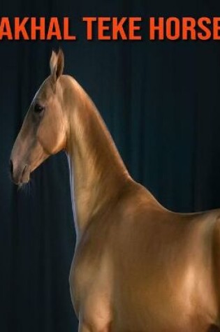 Cover of Akhal Teke Horse