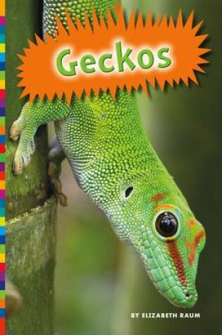 Cover of Geckos