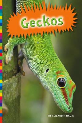 Cover of Geckos