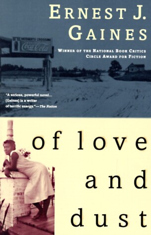 Book cover for Of Love and Dust