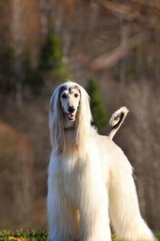 Cover of Gorgeous White Afghan Hound Dog Journal