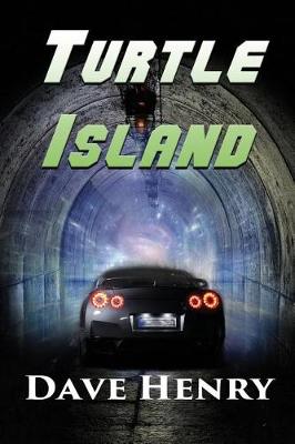 Book cover for Turtle Island