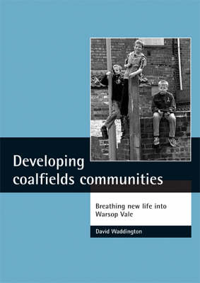 Book cover for Developing coalfields communities