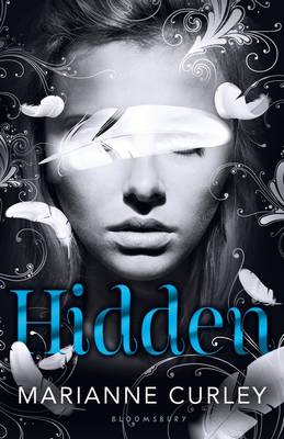 Book cover for Hidden