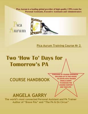 Book cover for PICA AURUM training course nr 2