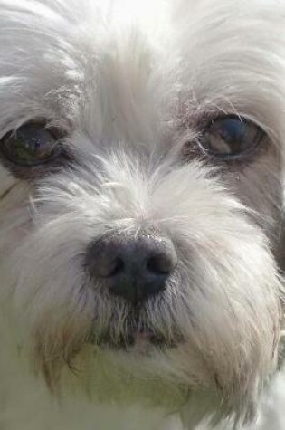 Cover of Coton de Tulear Doggy Journal