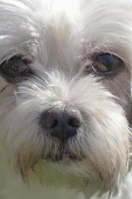 Book cover for Coton de Tulear Doggy Journal