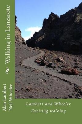 Book cover for Walking in Lanzarote