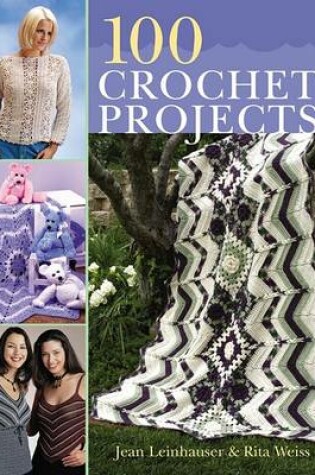 Cover of 100 Crochet Projects