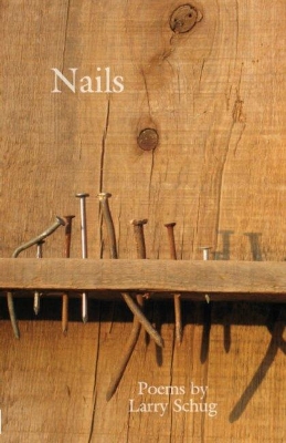 Book cover for Nails