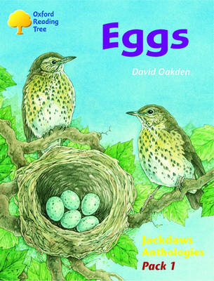 Book cover for Oxford Reading Tree: Levels 8-11: Jackdaws: Pack 1: Eggs