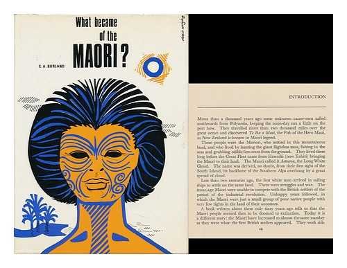 Book cover for What Became of the Maori?