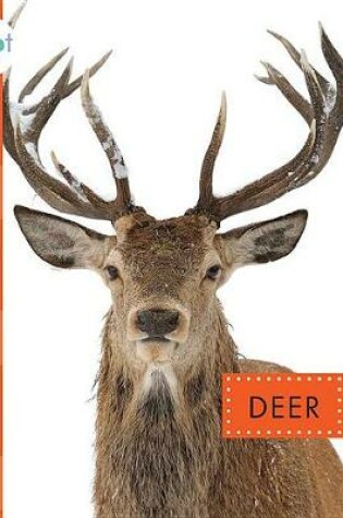 Cover of Deer