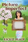 Book cover for Picture Imperfect