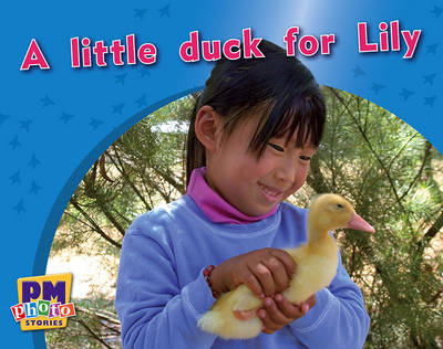 Book cover for A little duck for Lily