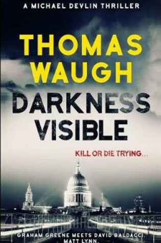 Cover of Darkness Visible