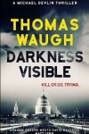 Book cover for Darkness Visible