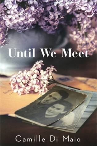 Cover of Until We Meet