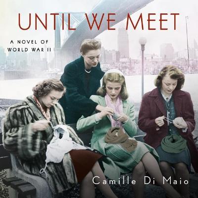 Book cover for Until We Meet