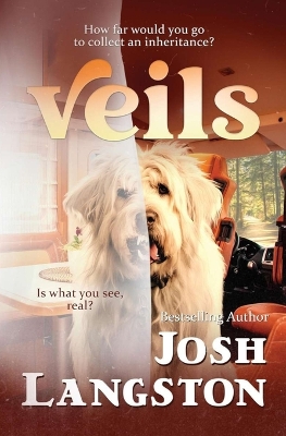 Book cover for Veils