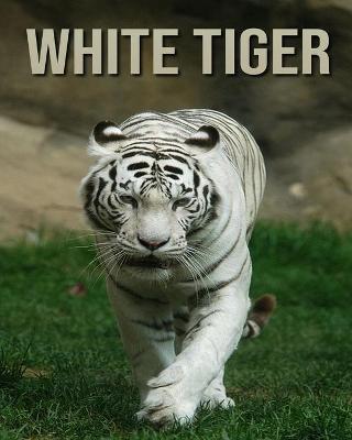 Book cover for White Tiger