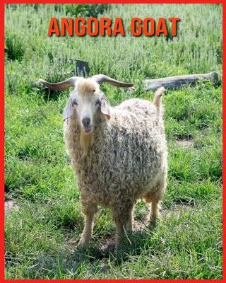 Book cover for Angora Goat