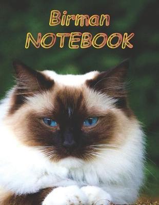 Cover of Birman NOTEBOOK