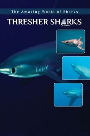 Cover of Thresher Sharks