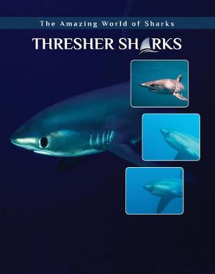 Book cover for Thresher Sharks