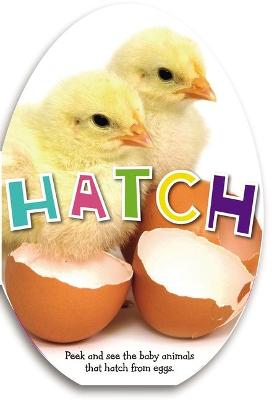 Book cover for Hatch