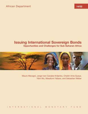 Book cover for Issuing International Sovereign Bonds