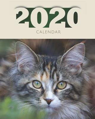 Cover of Calendar 2020