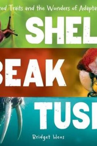 Cover of Shell, Beak, Tusk: Shared Traits and the Wonders of Adaptation