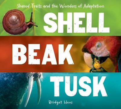 Cover of Shell, Beak, Tusk: Shared Traits and the Wonders of Adaptation