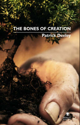 Book cover for The Bones of Creation