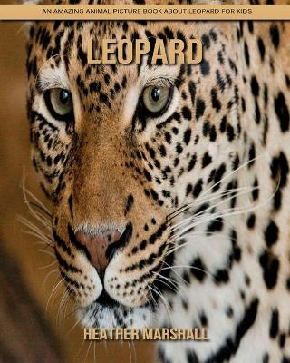 Book cover for Leopard