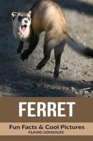 Cover of Ferret