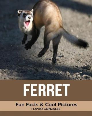 Book cover for Ferret