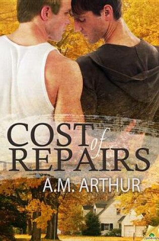 Cover of Cost of Repairs