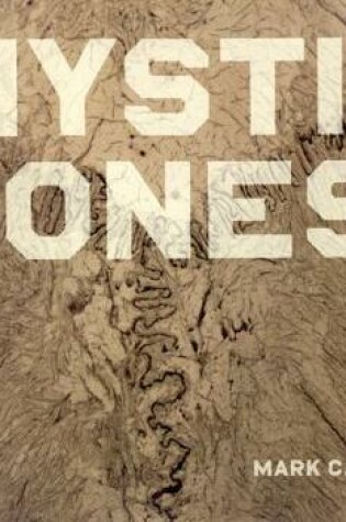 Cover of Mystic Bones