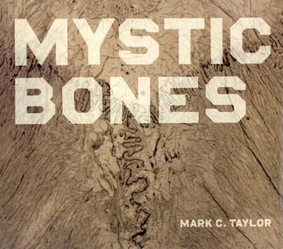 Book cover for Mystic Bones