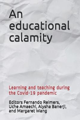 Book cover for An educational calamity