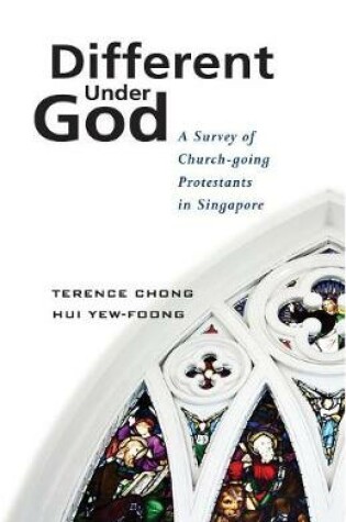 Cover of Different Under God