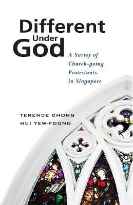 Book cover for Different Under God