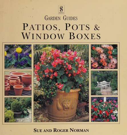 Book cover for Patio Pots and Window Boxes