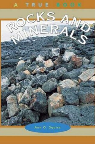 Cover of Rocks and Minerals