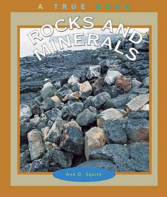 Book cover for Rocks and Minerals